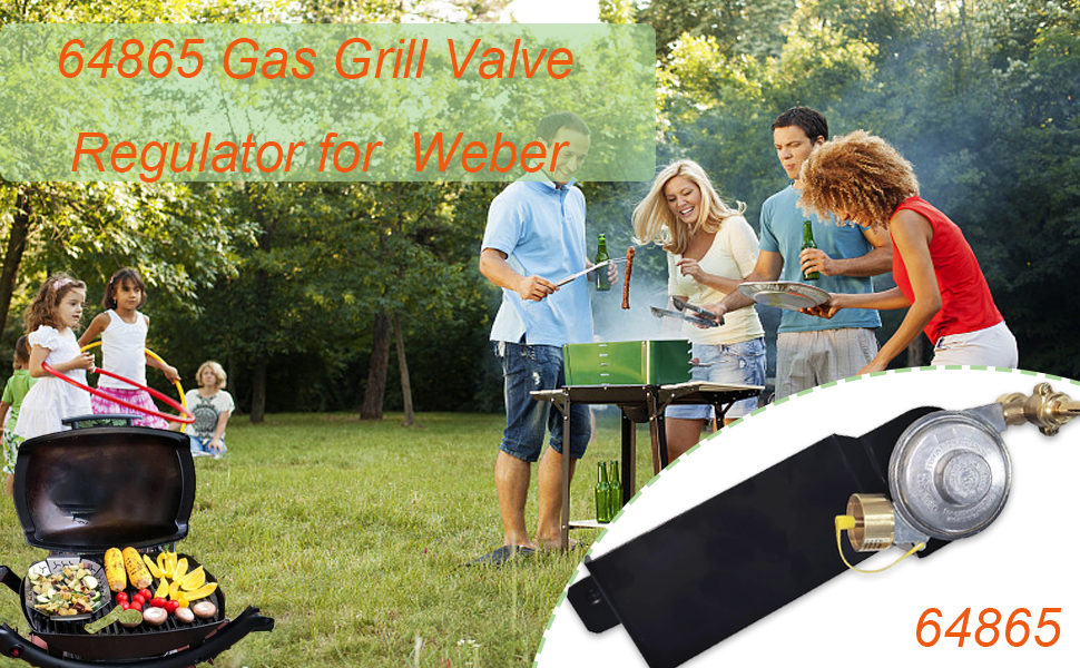 64865 Gas Grill Valve Regulator Compatible with er Q2000