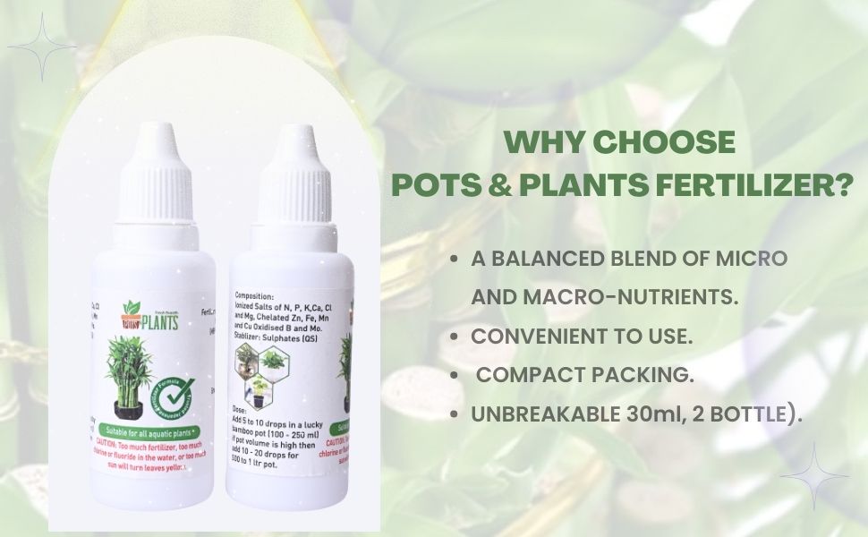 POTS AND PLANTS Lucky Plant Bamboo Fertilizer (2 Layer,3 Layer,5 Layer