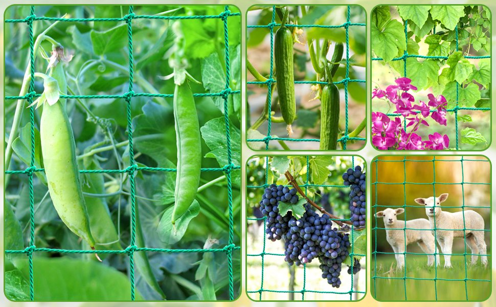Garden Trellis Netting for Climbing Plants Outdoor