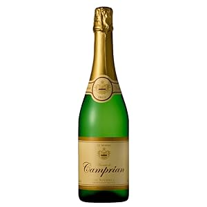 Amazon.co.jp: スパークリングワイン10本セット！七ッ星ホテル