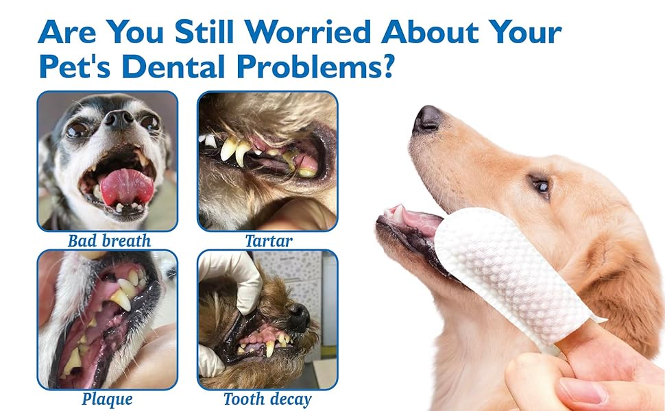 ear cleaner dog