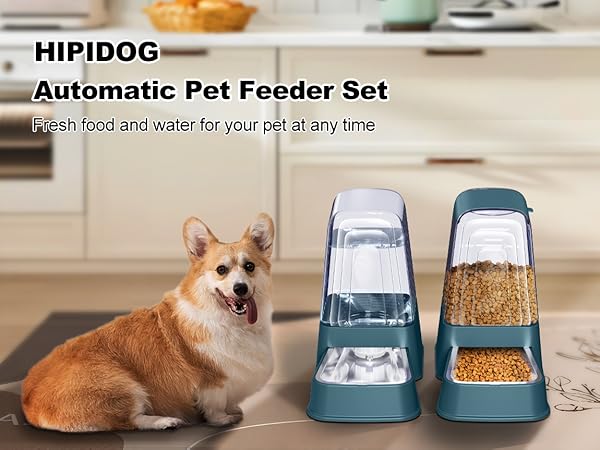 hipidog feeder