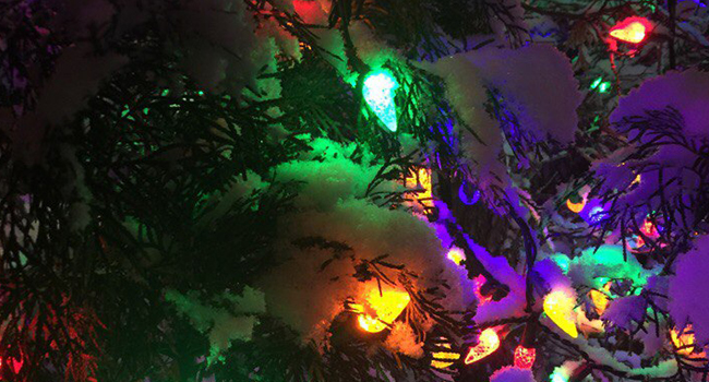 Christmas light C9