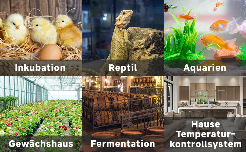Zusammengesetzt aus sechs Bildern, die die Kategorien der Tierpflege zeigen: schlüpfende Küken, Echsengehege, Aquarium, Gewächshaus mit Blumen, Biergärfässer und Display des Temperaturkontrollsystems zu Hause