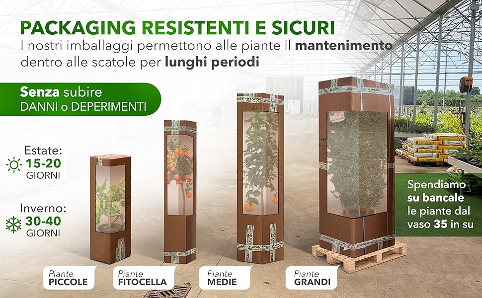 che mostra gli imballaggi vegetali per la conservazione a lungo termine. Le immagini mostrano scatole di varie dimensioni con piante all'interno, etichettate per diverse durate in estate e in inverno