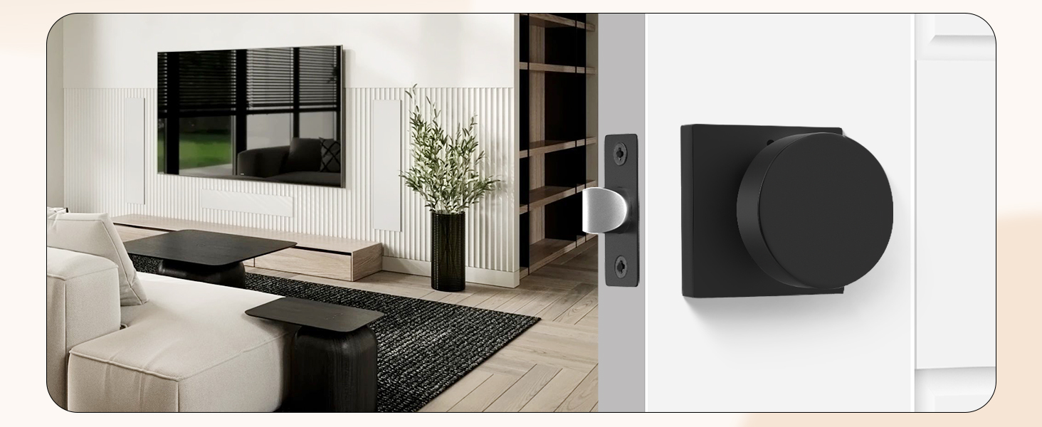 black doorknobs for interior door