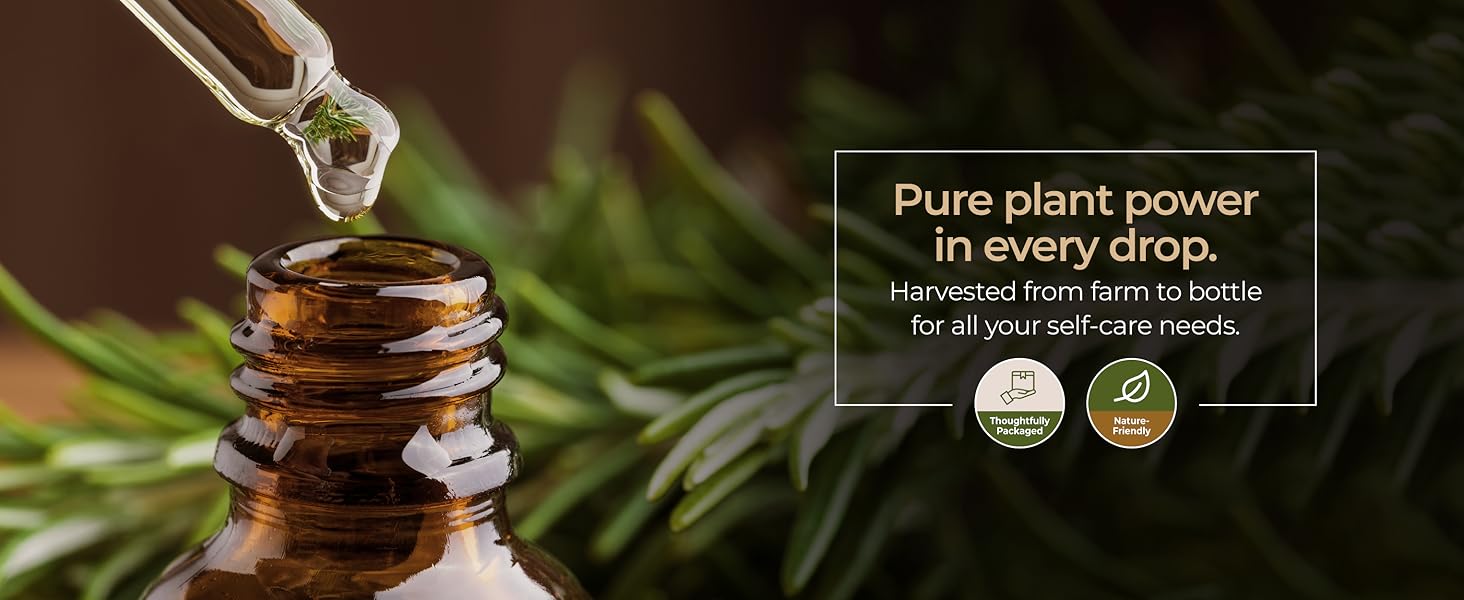 Gya labs Pure Organic Rosemary Oil for Hair Growth & Dry Scalp