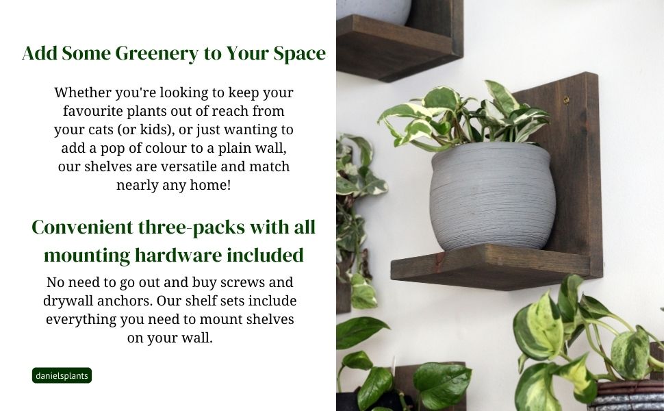 Daniel's Plants Midcentury Modern Gallery Wall Plant Shelf Pack of 3