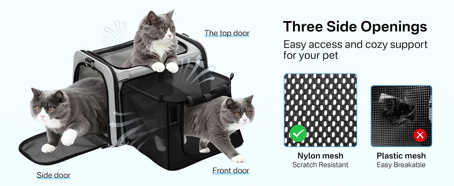 pet carrier airline approved