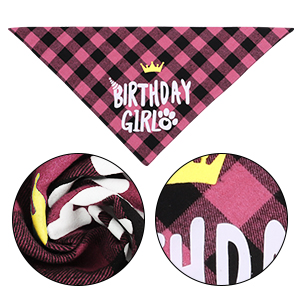 Dog Birthday Party Supplies