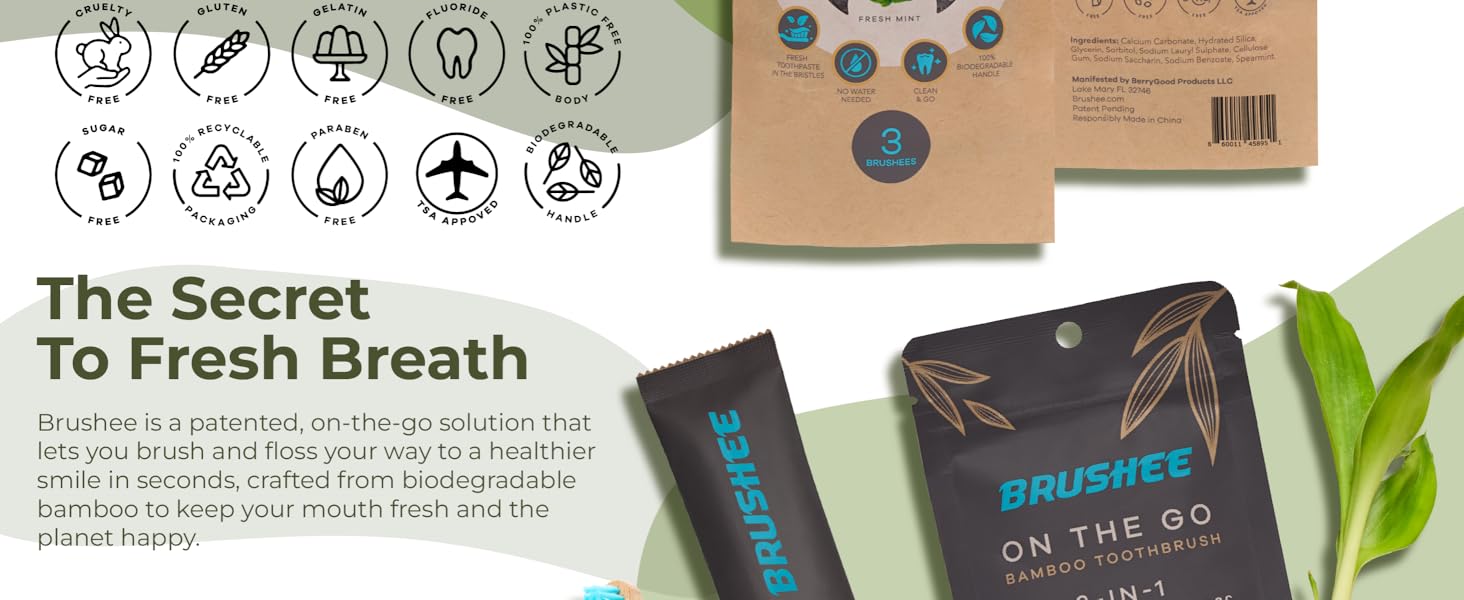 3 in 1 on the go disposable toothbrush