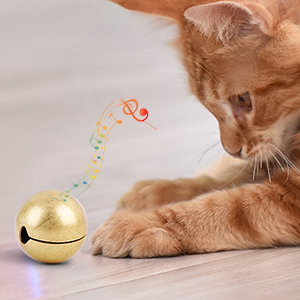 Juguete para Gatos Interactivo