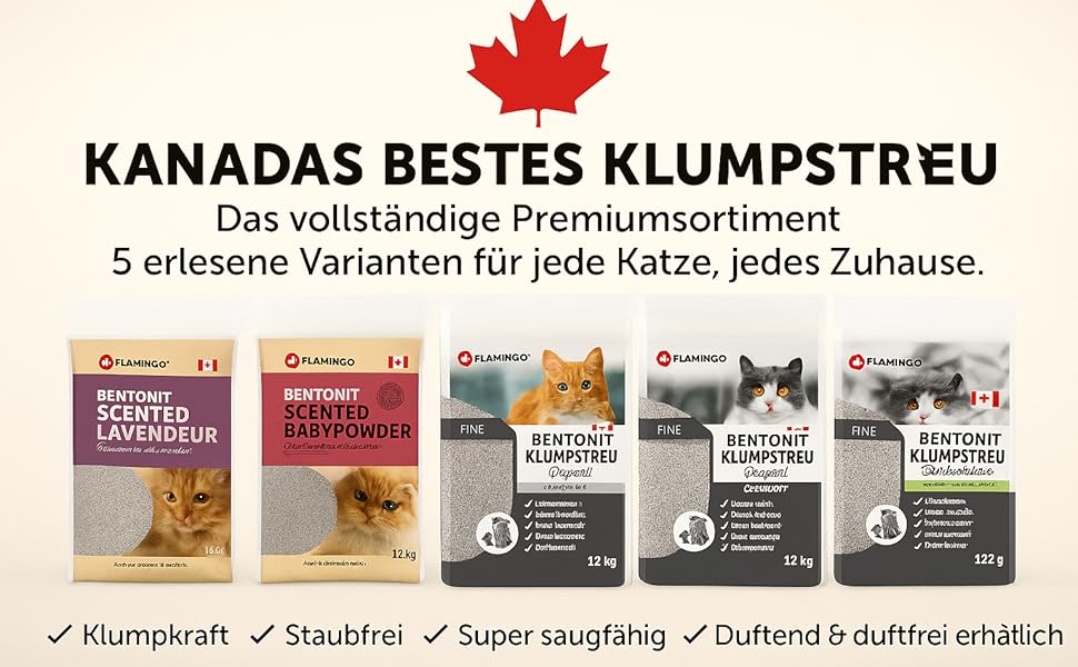 Aplus-Inhaltsbild