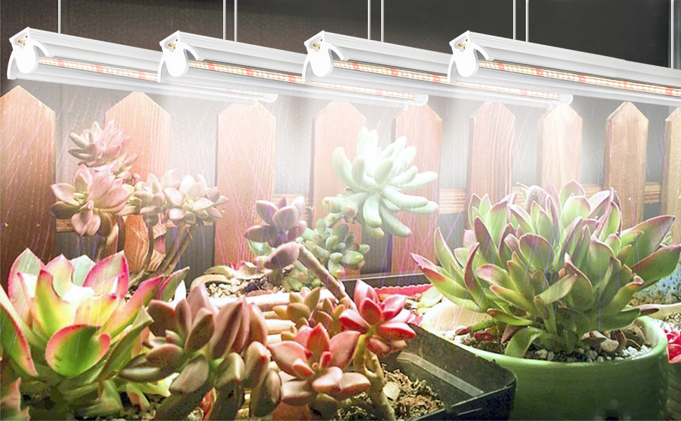 植物育成ライトEnviro Gro T5 植物育成ライト Enviro Gro T5 Amazon.co.jp: 植物育成ライト