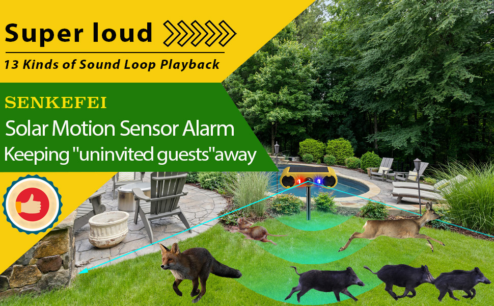 solar outdoor motion sensor alarm