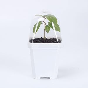 Flexible and Reusable