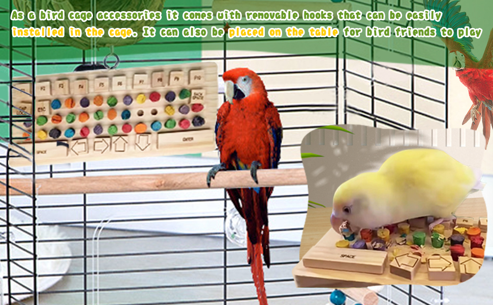 bird cage accessories