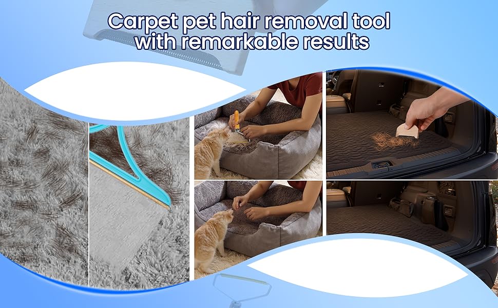 pet hair remover for couch