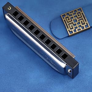 Amazon.com: Harmonica Armonica Mouth Organ Blues Harmonica