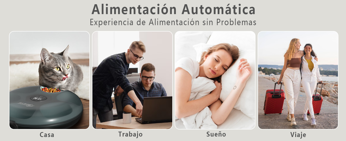 Alimentador Automático de Mascotas