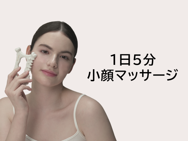 Amazon.co.jp: Face Factory D-Tok かっさ レザーポーチ付き 顔