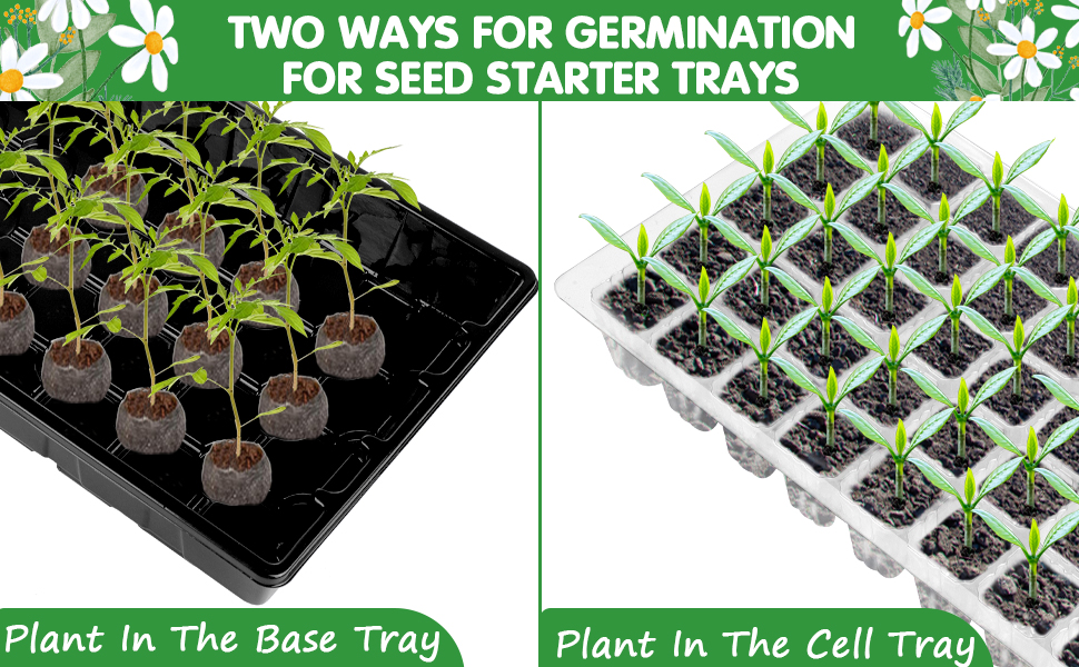 seed starter tray with lid