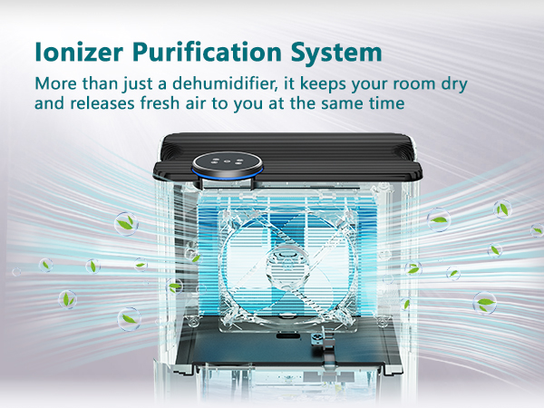 dehumidifier