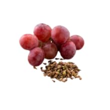 Dash of Vigor Grape Seed Supplement 