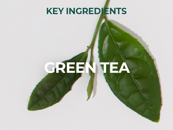 MOTHER MADE Exfoliating Face exfoliator Scrub Wash Cleanser exfoliante para la cara korean skin care