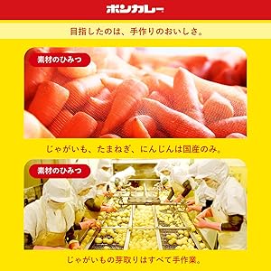ボンカレーゴールドこだわり1