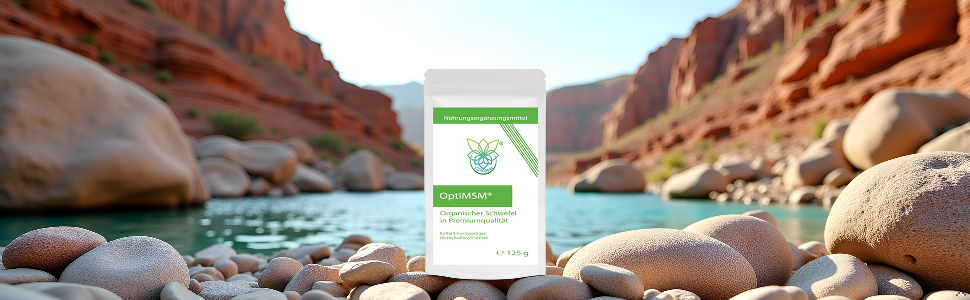 Flussbettszene in der Wüste mit glatten Felsen und Felsbrocken im Vordergrund, rote Canyonwände, die im Hintergrund bei hellem Tageslicht sichtbar sind.