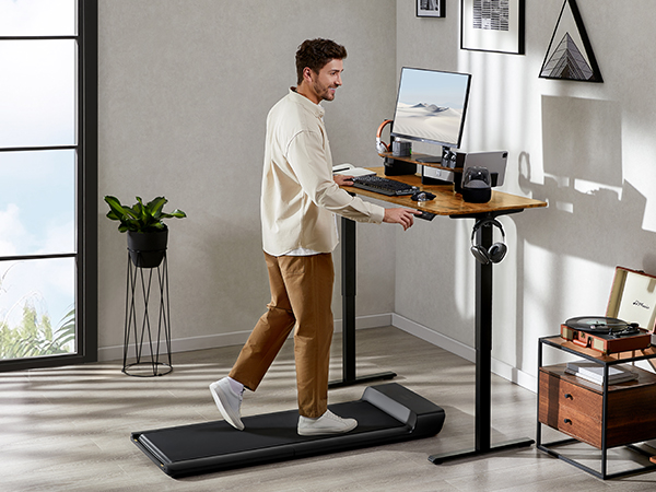 DESKD　EVAPOD PrimeCables Electric Stand Up Desk with Memory Presets