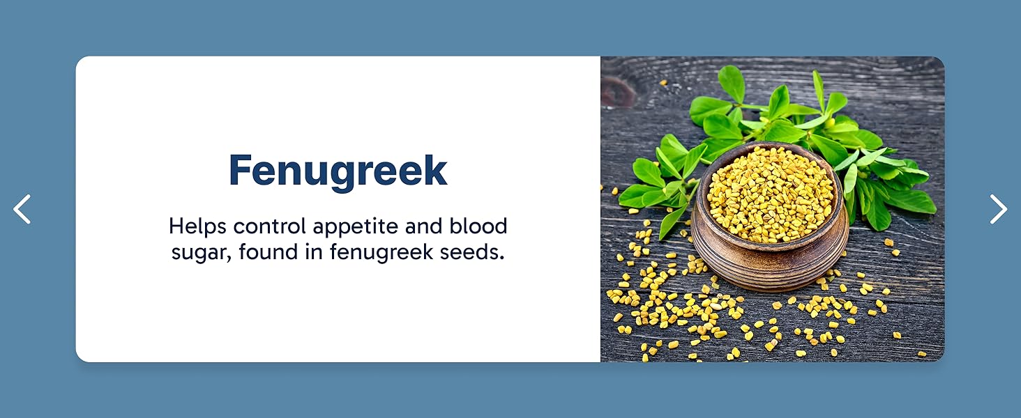 Fenugreek