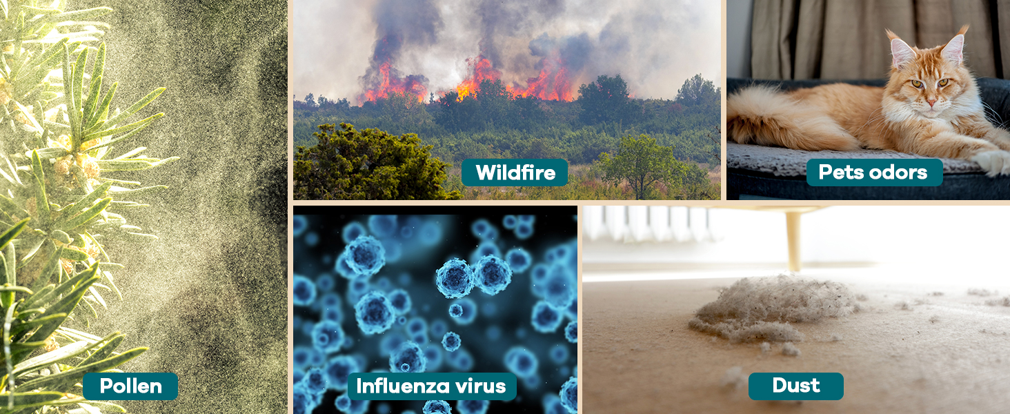 air purifiers for home large room pets and dust