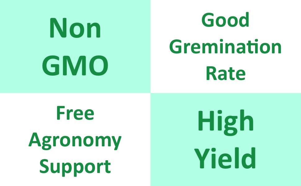 non gmo seeds