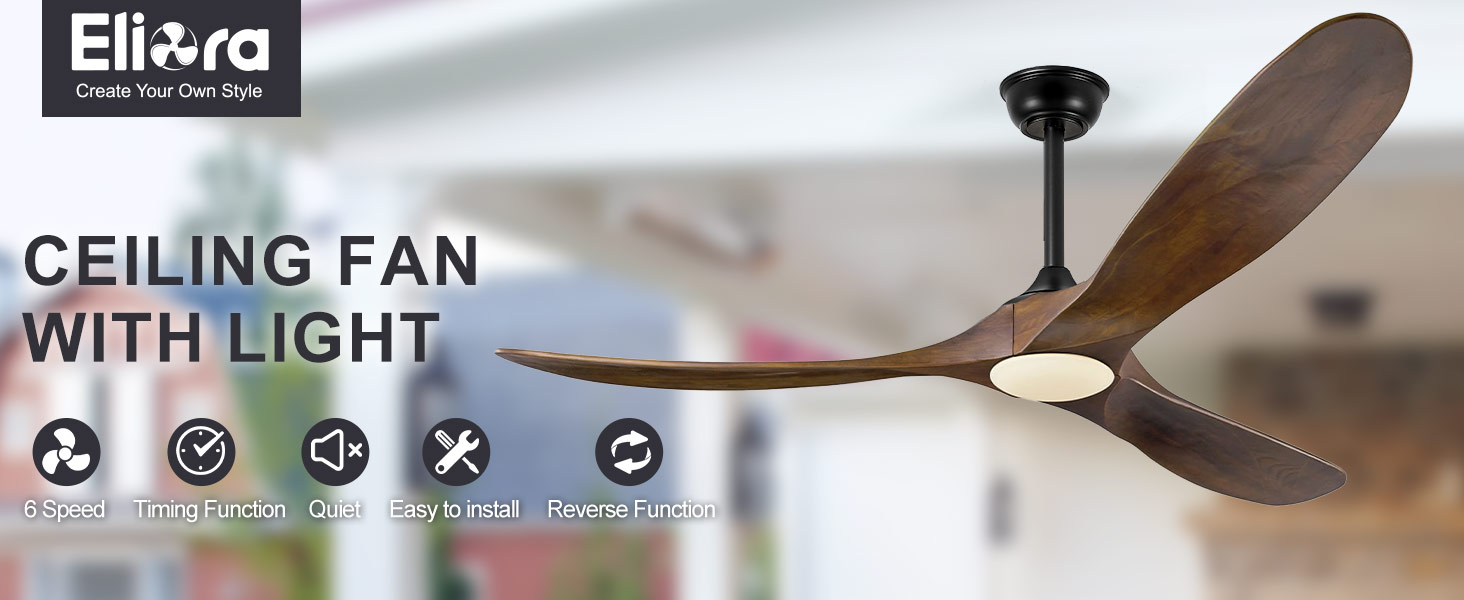 ceiling fan with light