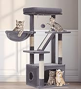 チャオチャオ　CIAOCIAO Amazon.com : Taoqimiao Cat Tree,38.5-Inch Cat Tower for