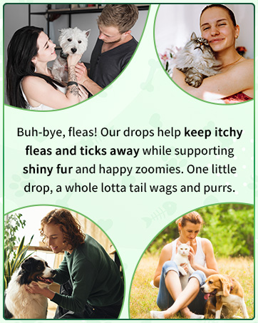 oral flea treatment for dogs and cats