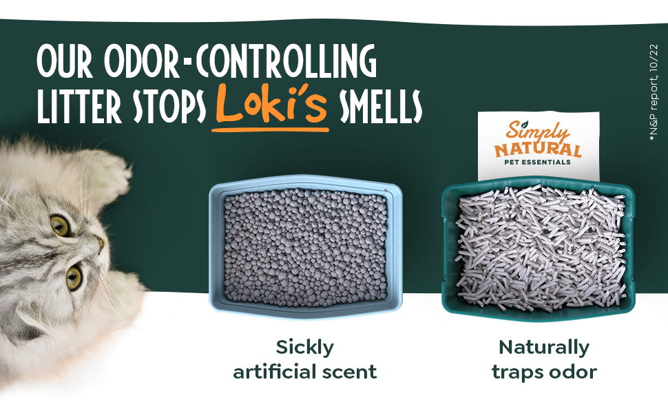 𝐖𝐈𝐍𝐍𝐄𝐑 𝟐𝟎𝟐𝟑 Premium Tofu Clumping Cat Litter, 6L 100 Biodegradable Flushable Cat Litter