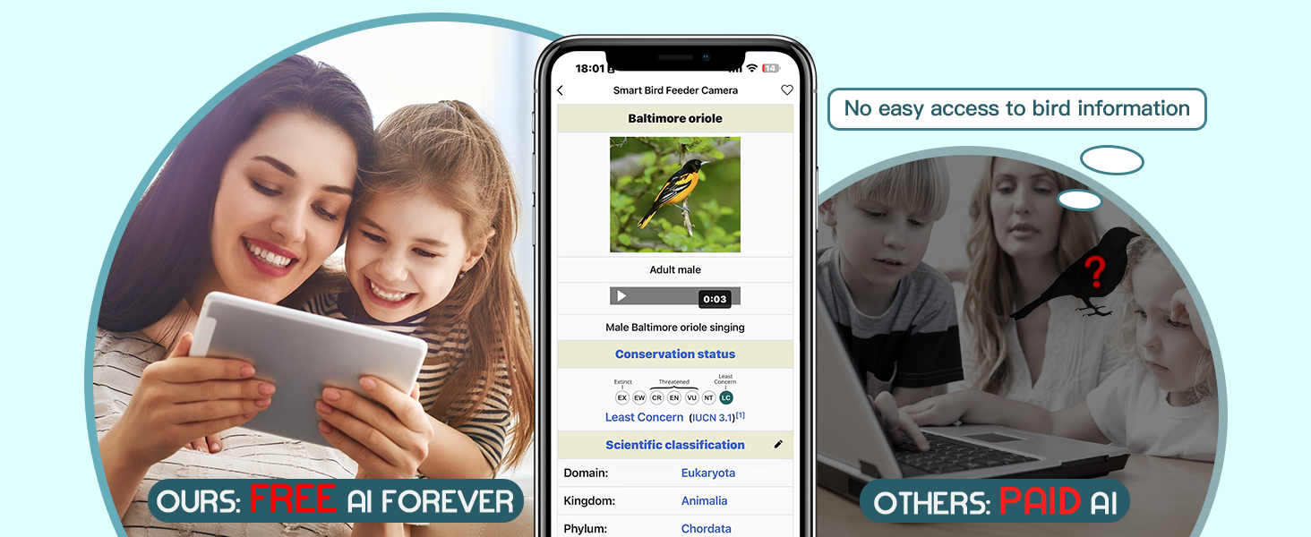 bird video camera feeder