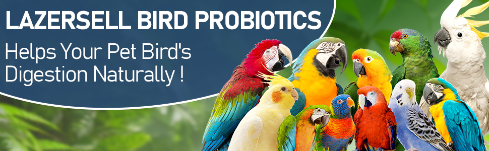 probiotics for birds
