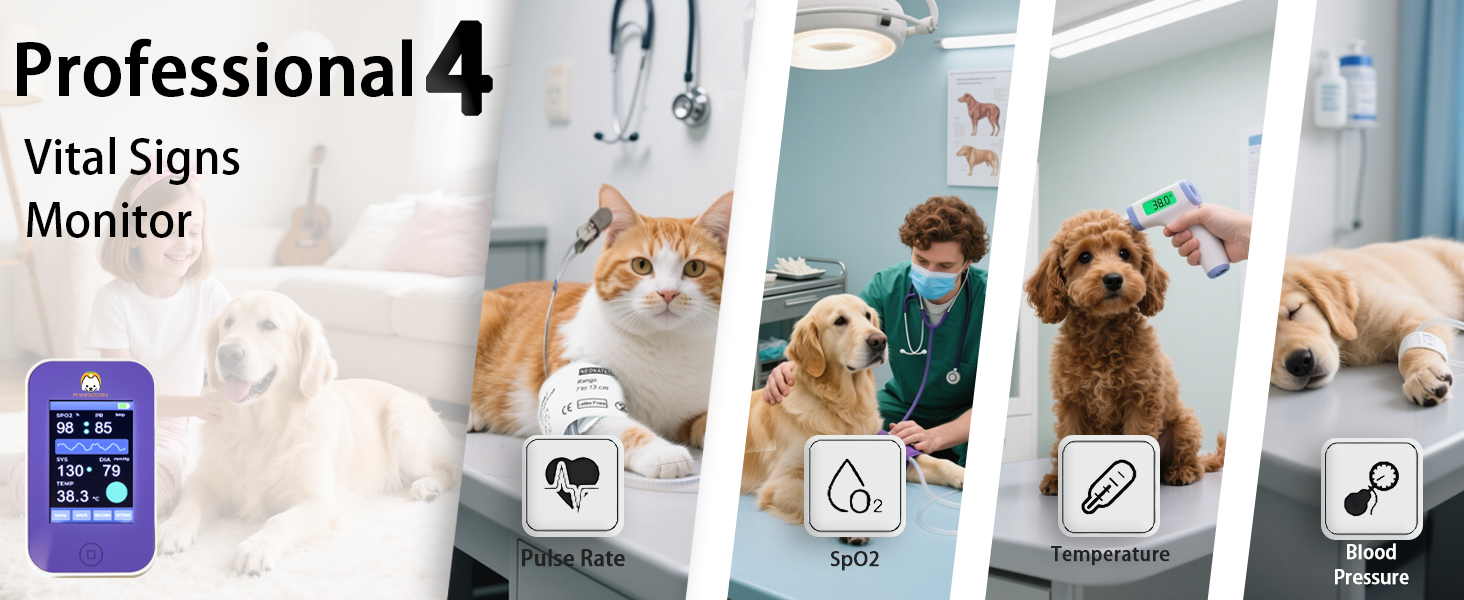 Professional 4 vital signs monitor