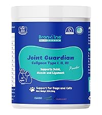 Joint Guardian Main Image