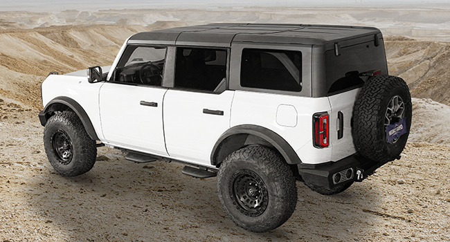 Bronco Side step bars