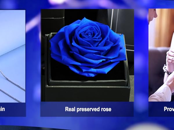 Amazon.com: WILLSHINE Eternal Rose Gift Box, Preserved Red