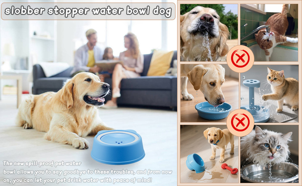 dog water bowl no spill
