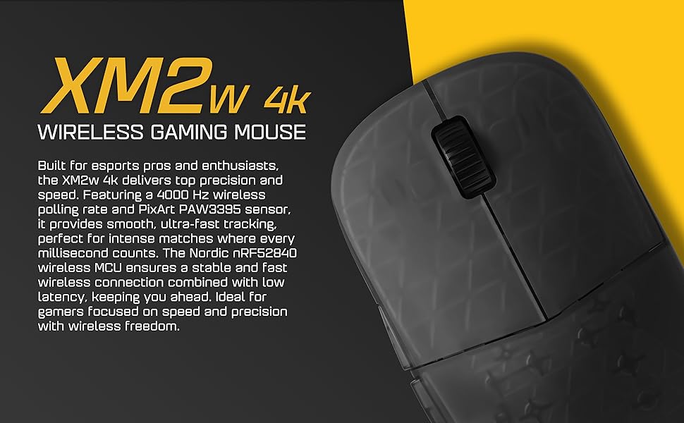 Amazon.com: ENDGAME GEAR XM2w 4k Wireless Gaming Mouse