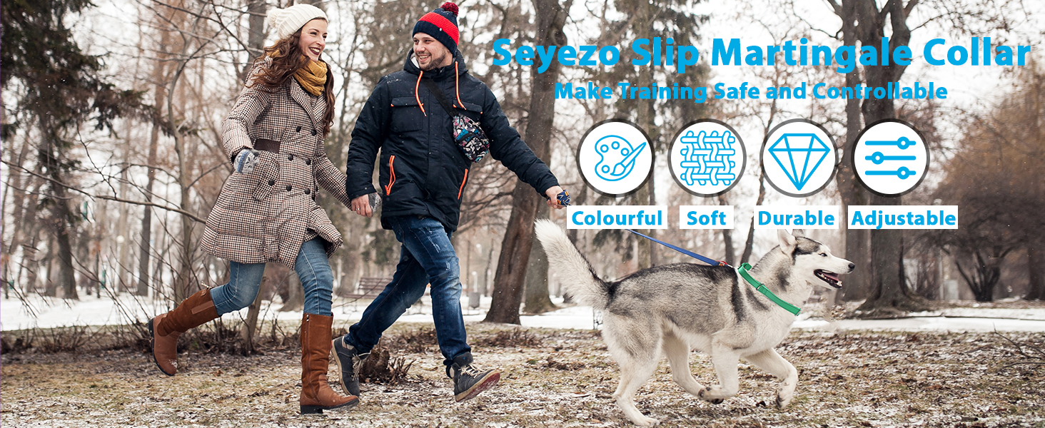 Seyezo Martingale Dog Collar, Slip Martingale Collar with