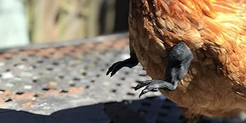 Small manufacture image 5