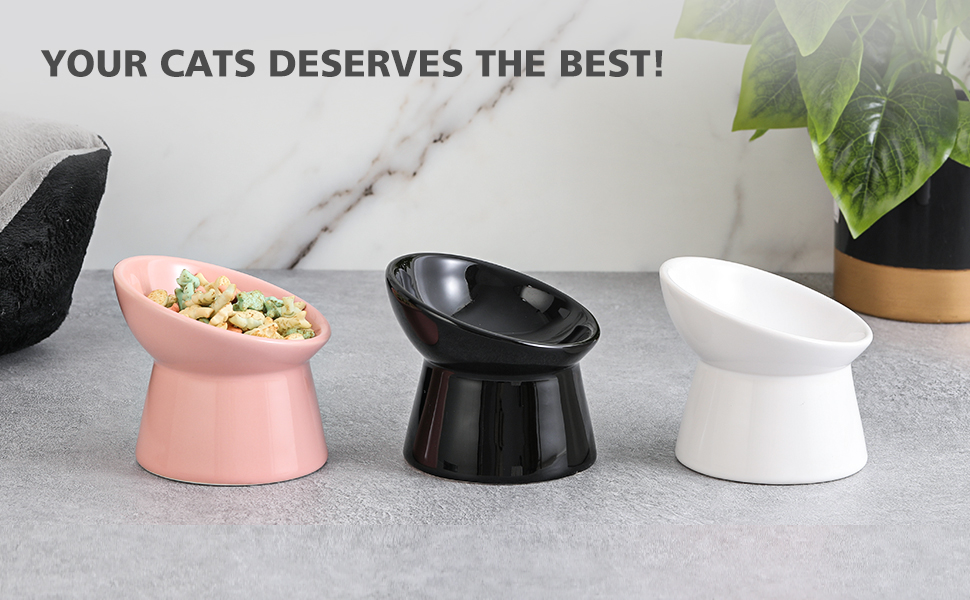 Raised Cat Food Bowls Ceramic Tilted Elevated Cat Bowls Anti Vomit